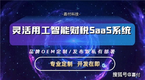 嘉付灵活用工saas系统定制开发,如何提供服务和保障安全